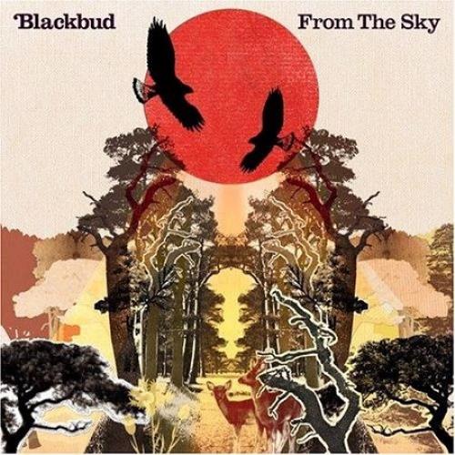 Click to view product details and reviews for Blackbud From The Sky 2006 Uk Cd Album Isom62cd.