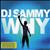DJ Sammy Why   