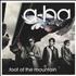 A-Ha Foot Of The Mountain CD single German AHAC5FO495765