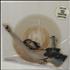 AC/DC Shake Your Foundations shaped picture disc UK ACDSHSH24557