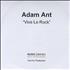 Adam Ant Vive Le Rock CD-R acetate UK A~ACRVI324247
