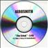 Aerosmith The Grind CD-R acetate Canadian AERCRTH387659