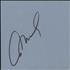 Al Di Meola Page From An Autograph Book memorabilia UK AL5MMPA603276