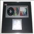 Alanis Morissette Jagged Little Pill award disc UK ANSAWJA143806