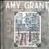 Amy Grant Somewhere Down The Road CD-R acetate US GRACRSO504217
