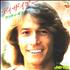Andy Gibb Desire 7