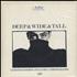 Aztec Camera Deep Wide & Tall - Photo Pack 7