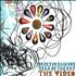 Badly Drawn Boy Year Of The Rat CD/DVD single set UK BDWSDYE293938