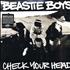 Beastie Boys Check Your Head 2-LP vinyl set US BEA2LCH338876