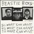 Beastie Boys So What'cha Want 12
