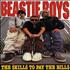 Beastie Boys The Skills To Pay The Bills video US BEAVITH139191