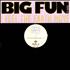 Big Fun I Feel The Earth Move 12