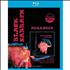 Black Sabbath Classic Albums: Paranoid Blu Ray UK BLKBRCL511975