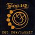 Blink 182 Not Now CD-R acetate UK B18CRNO346742