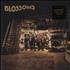 Blossoms Blossoms - Sealed vinyl LP UK IWVLPBL754957