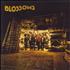 Blossoms Blossoms vinyl LP UK IWVLPBL791980