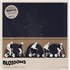 Blossoms Cool Like You + BBC Recordings - Shrink vinyl LP UK IWVLPCO871816