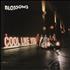 Blossoms Cool Like You - 180gm Vinyl + Autographed Inserts vinyl LP UK IWVLPCO756436