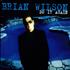 Brian Wilson Do It Again CD single Swedish BWIC5DO62599