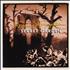 Bruce Springsteen Secret Garden CD single UK SPRC5SE481400