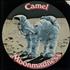 Camel Moonmadness vinyl LP US C-LLPMO574190