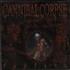 Cannibal Corpse Torture CD album US CACCDTO638348