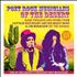 Captain Beefheart & Magic Band Poet Rock Musicians Of The Desert 2-CD album set UK CPT2CPO420602