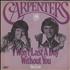 Carpenters I Won't Last A Day Without You 7