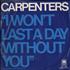Carpenters No Viviria Ni Un Dia Sin Ti - I Won't Last A Day Without You 7