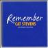 Cat Stevens Remember - The Ultimate Collection CD album UK CTVCDRE146784