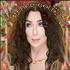 Cher Gold 2-CD album set UK CHE2CGO397763