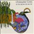 Christopher Cross In The Blink Of An Eye CD single German