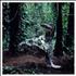 CSS Donkey CD album UK CS-CDDO439710