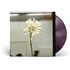 Daughter Stereo Mind Game - Coloured Eco-Vinyl - Sealed vinyl LP UK 