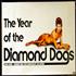 David Bowie The Year Of The Diamond Dogs poster UK BOWPOTH633290