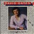 David Gates Take Me Now vinyl LP US DGALPTA371825