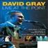 David Gray Live DVD UK DGRDDLI213619