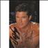 David Hasselhoff Baywatch Promo Card - Signed photograph US HASPHBA259664