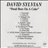 David Sylvian Dead Bees On A Cake CD-R acetate US SYLCRDE139735