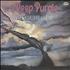 Deep Purple Stormbringer vinyl LP Russian DEELPST583162