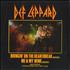 Def Leppard Bringing On The Heartbreak 7