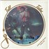 Def Leppard Interview picture disc LP UK DEFPDIN443627