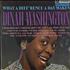 Dinah Washington What A Diff'rence A Day Makes vinyl LP UK DNHLPWH386059