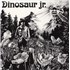 Dinosaur Jr Dinosaur LP USA DJRLPDI888170