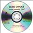 Dixie Chicks Voice Inside My Head CD-R acetate US XIECRVO368320