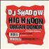 DJ Shadow High Noon 7