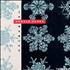 Donald Fagen Snowbound CD single US DLFC5SN223802