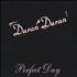 Duran Duran Perfect Day CD single Hong Kong DDNC5PE440701
