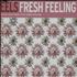 Eels Fresh Feeling CD single European EELC5FR201072