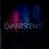 Evanescence What You Want CD-R acetate UK ESCCRWH589159